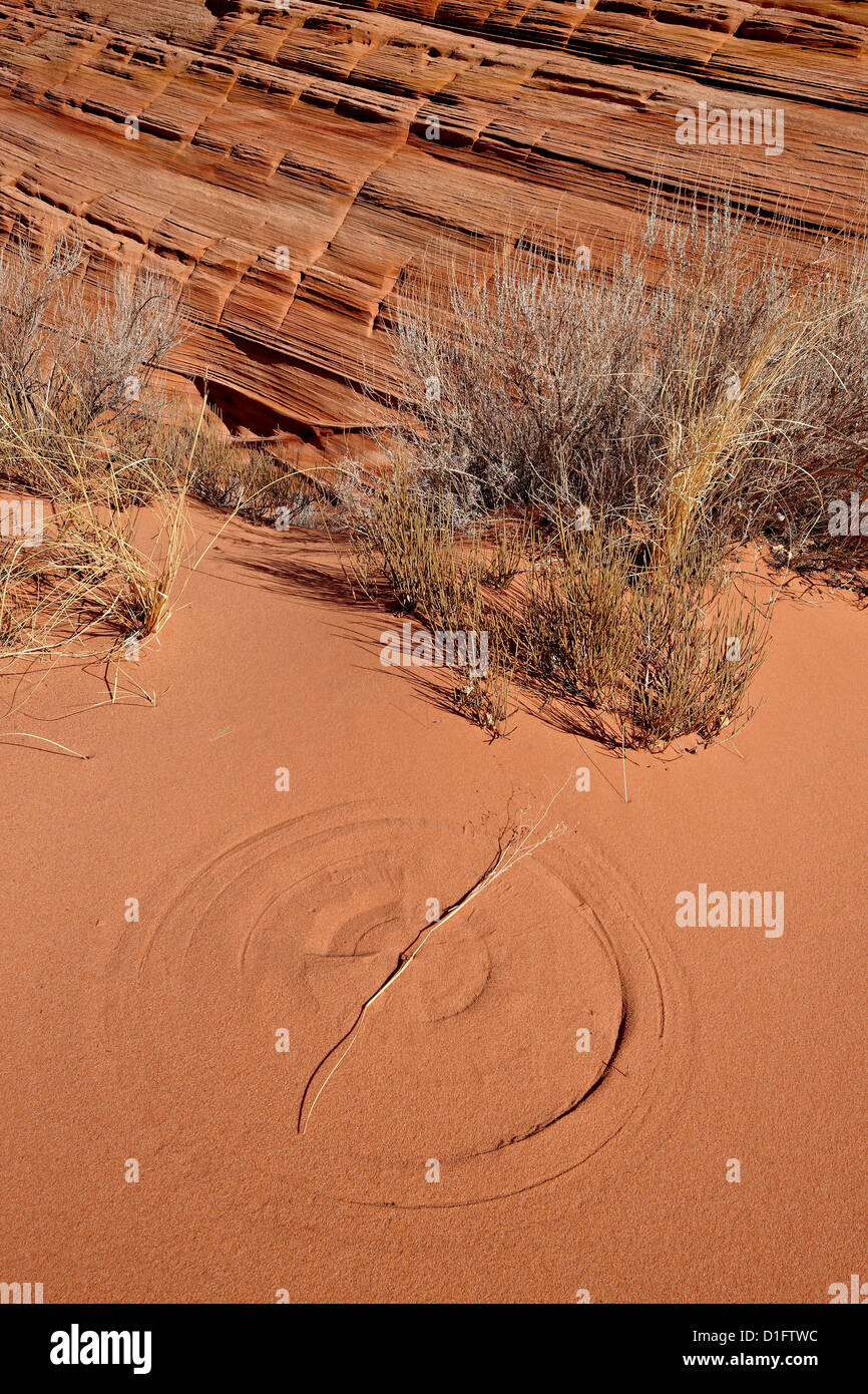 Circle in red sand created by a rotating twig, Vermillion Cliffs National Monument, Arizona, United States of America Stock Photo
