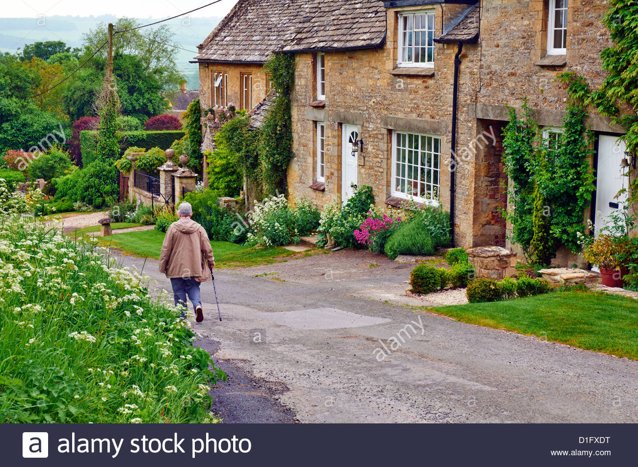 cotswold walking sticks