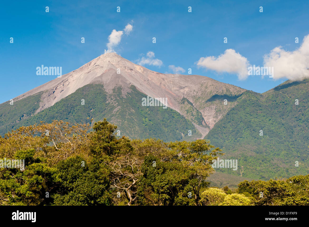 Fuego Volcano, Antigua, Guatemala, Central America Stock Photo