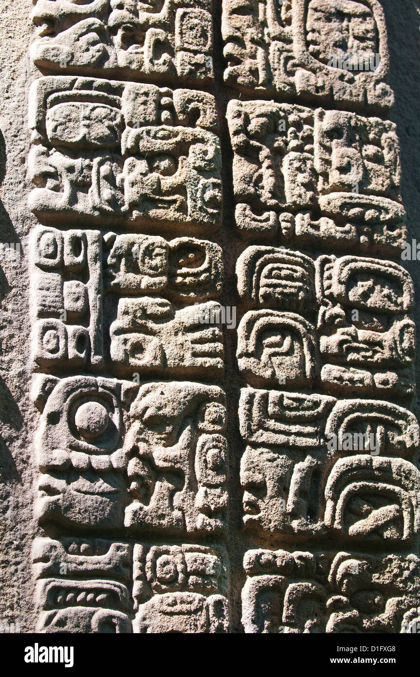 Mayan stela at Quirigua Archaeological Park, UNESCO World Heritage SIte, Guatemala, Central America Stock Photo