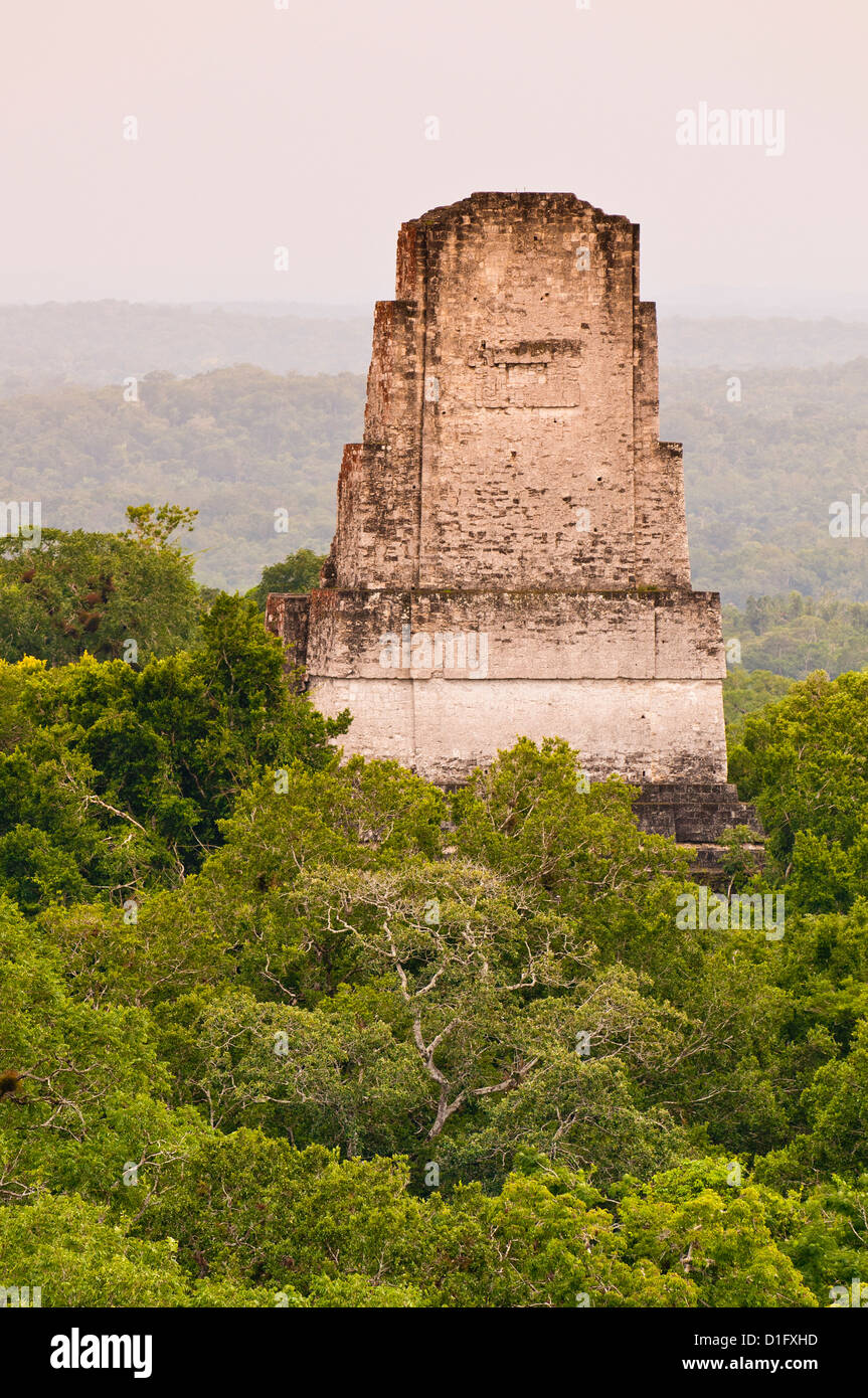 Tikal National Park (Parque Nacional Tikal), UNESCO World Heritage Site, Guatemala, Central America Stock Photo