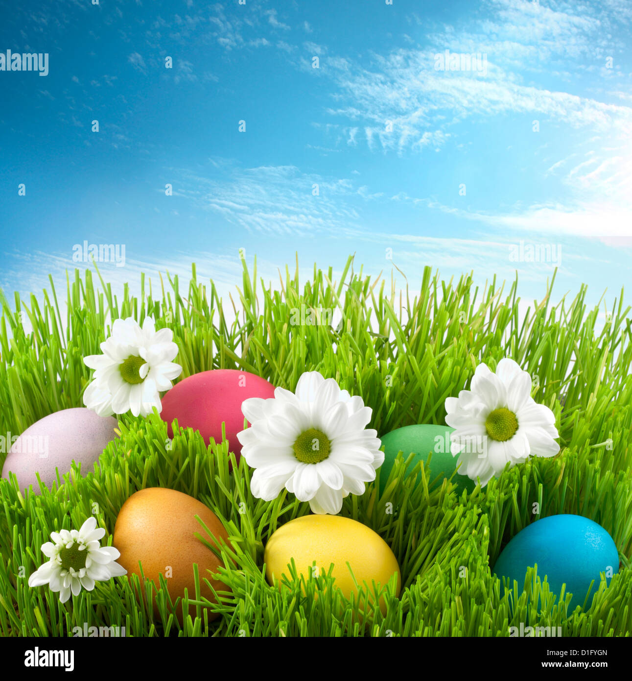 Concept of easter eggs on green grass and yellow straw with flowers background against abstract sky Stock Photo