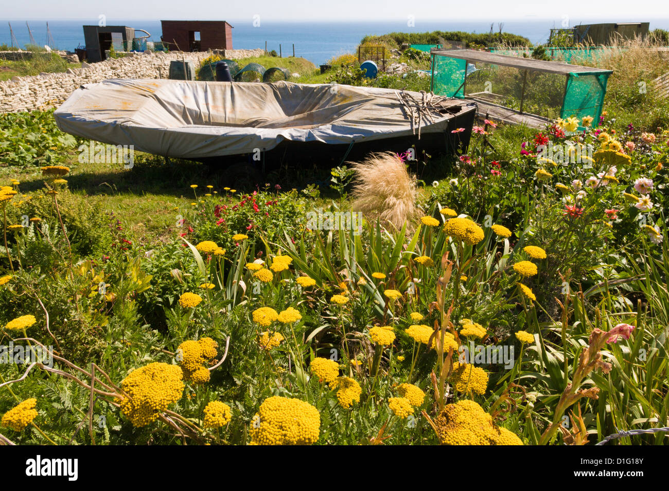A covered boat and sheds form part of a garden on cliffs above the English Channel on Portland Bill Dorset UK Stock Photo
