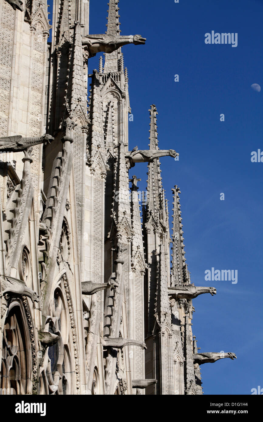 Gargoyles on Notre Dame Cathedral, Paris, France, Europe Stock Photo