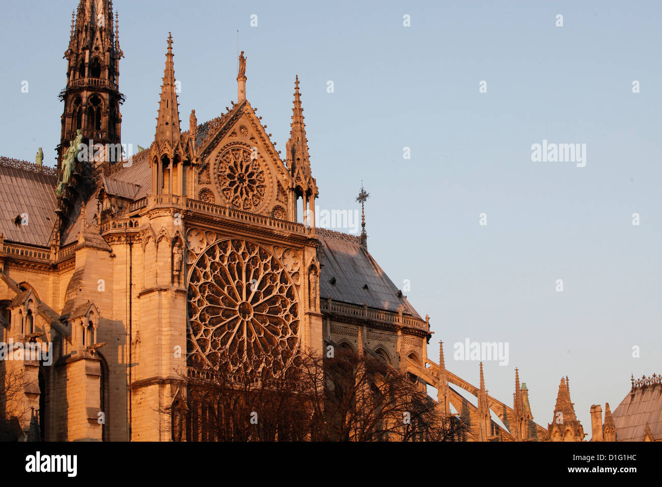 Rose window on South facade, Notre Dame Cathedral, Paris, France, Europe Stock Photo