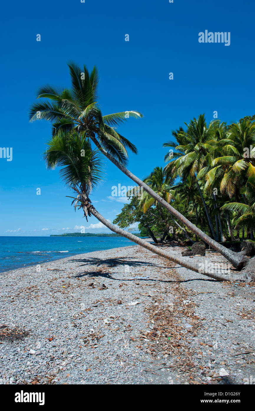 Beach on Savo Island, Savo, Solomon Islands, Pacific Stock Photo