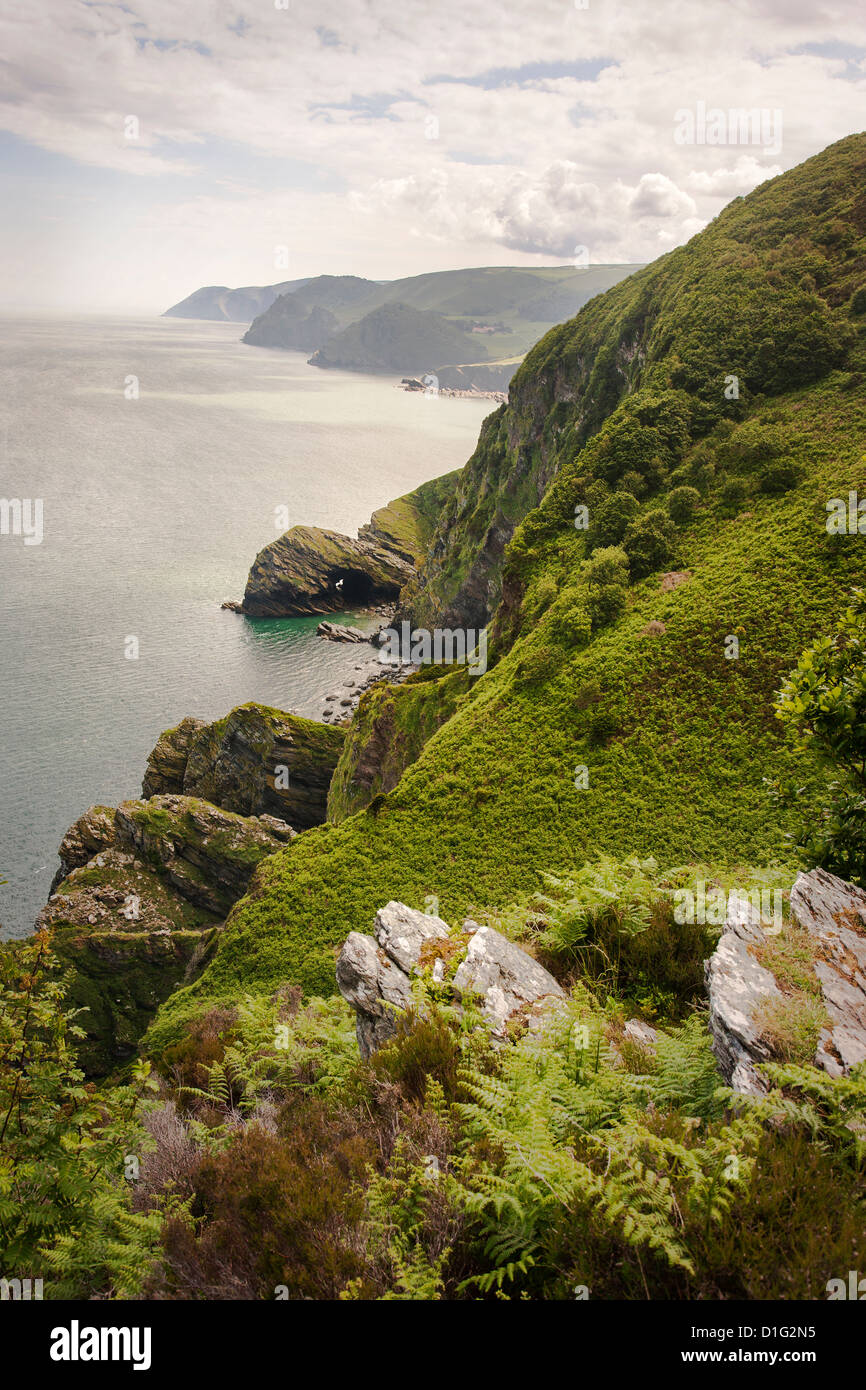 Coastal scenery along the South west Coast Path near Heddon's Mouth North Devon looking towards Countisbury Stock Photo