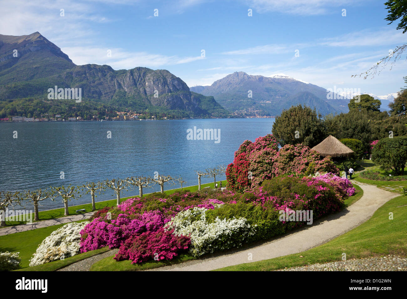 Gardens of Villa Melzi, Bellagio, Lake Como, Lombardy, Italian Lakes, Italy, Europe Stock Photo