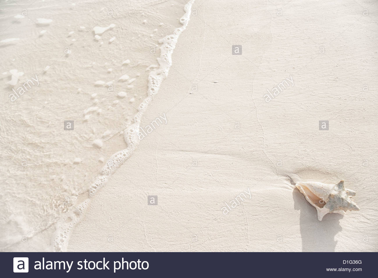 Conch Bay Stock Photos & Conch Bay Stock Images - Alamy