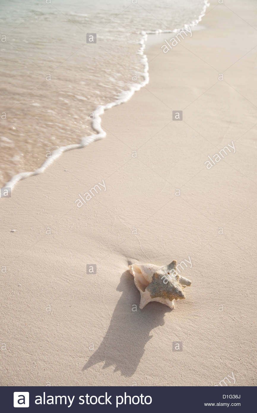 Conch Bay Stock Photos & Conch Bay Stock Images - Alamy