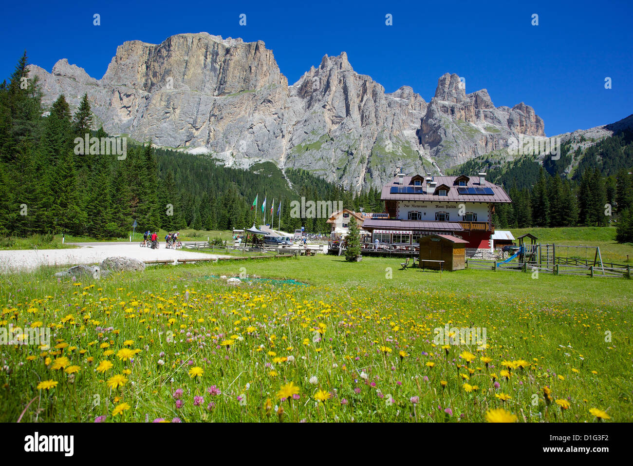 Sella Pass, Trento and Bolzano Provinces, Italian Dolomites, Italy, Europe Stock Photo