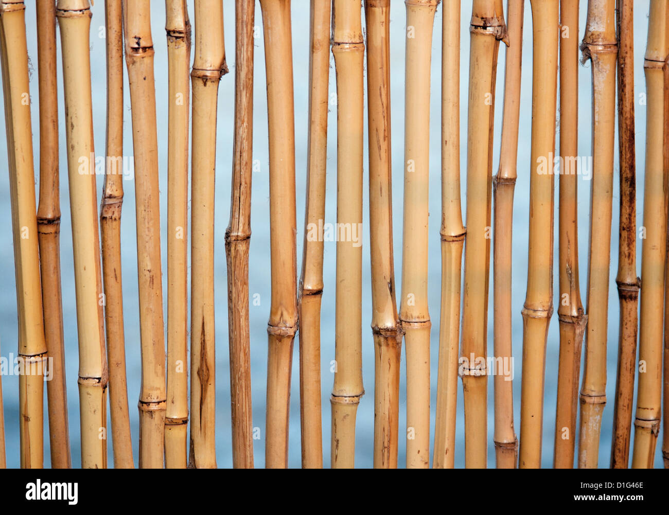 Bamboo background texture with columns of wood Stock Photo