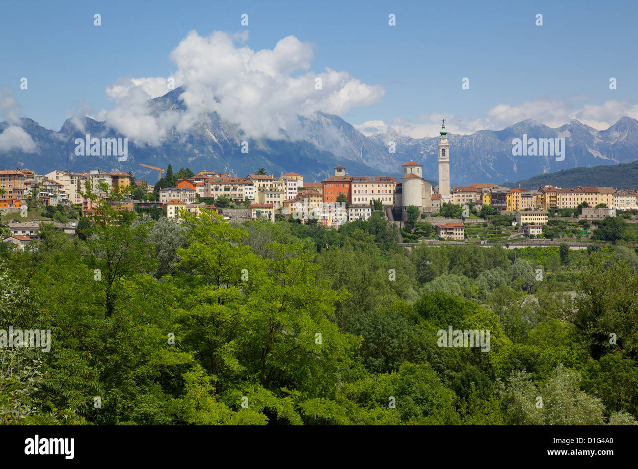 View of town and Duomo of San Martino, Belluno, Province of Belluno, Veneto, Italy, Europe Stock Photo