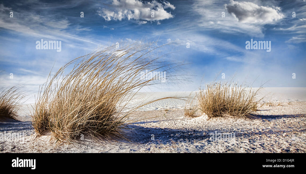 White Sands National Monument panorama landscape Stock Photo