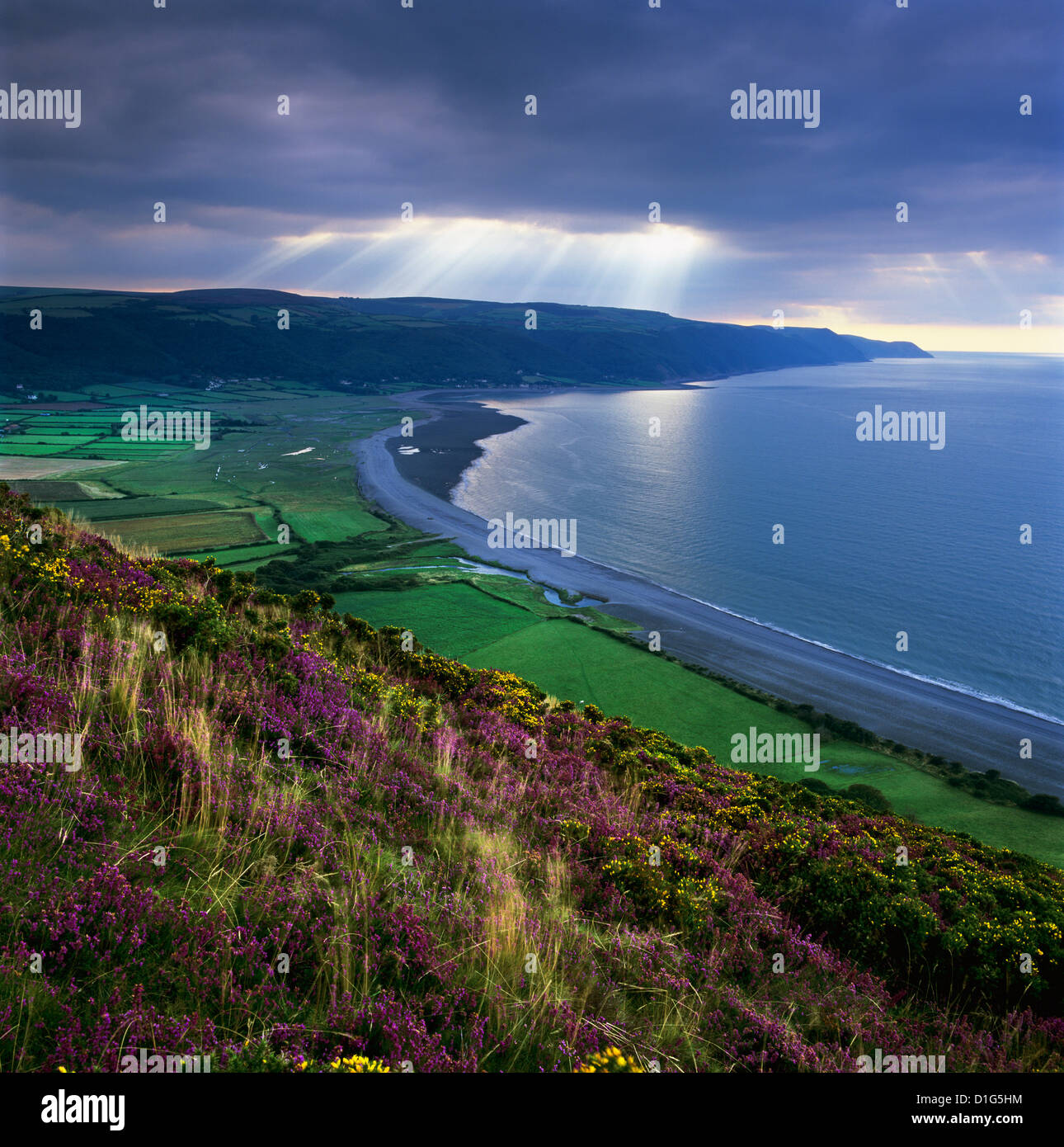 Porlock Bay, Porlock, Somerset, England, United Kingdom, Europe Stock Photo