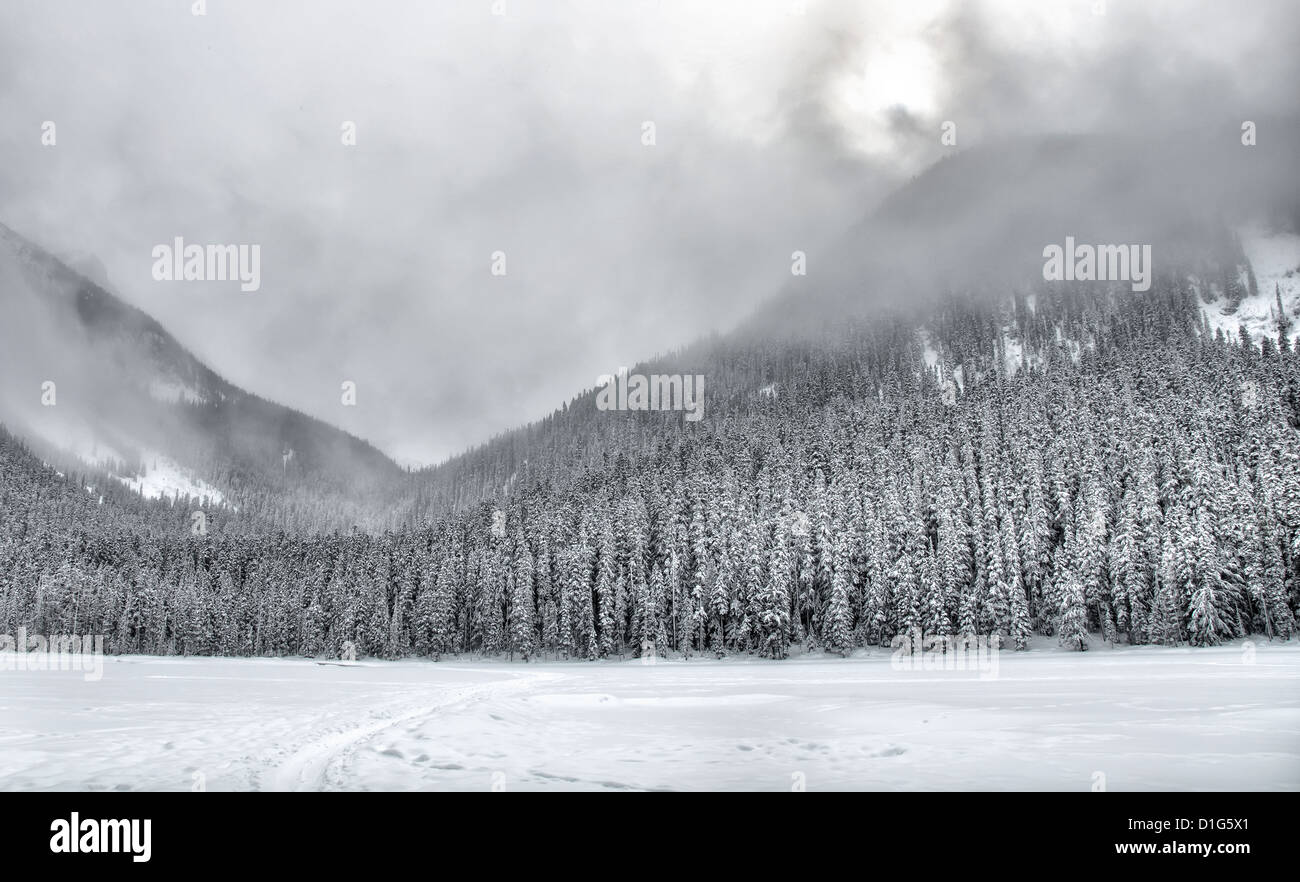 Beautifully simple snow covered mountain trees with clouds. Stock Photo