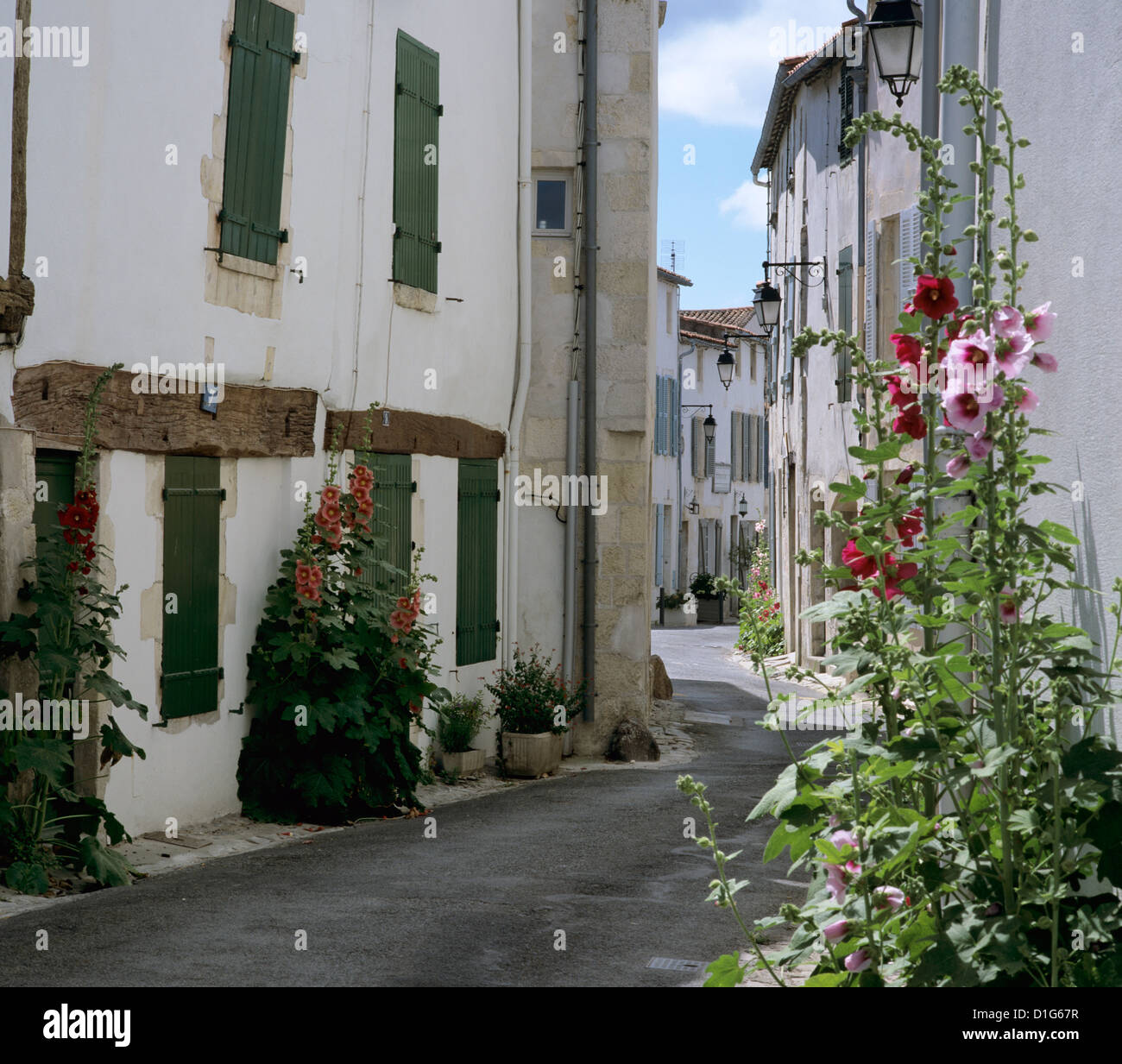 Typical street scene with Hollyhocks, St. Martin, Ile de Re, Poitou-Charentes, France, Europe Stock Photo