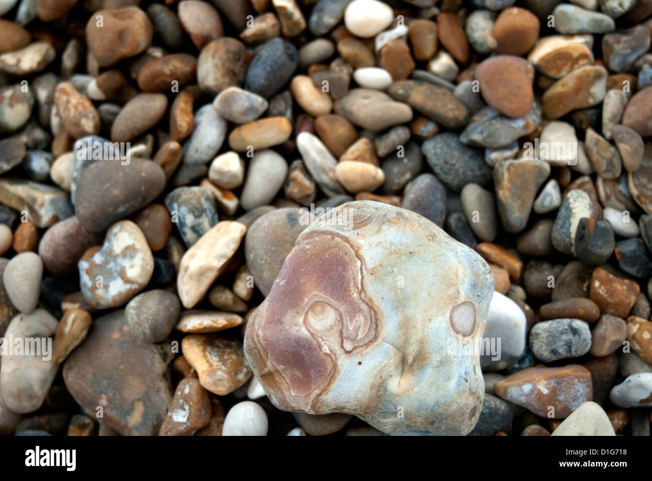 pebbles on a beach with one larger pebble in the foreground Stock Photo