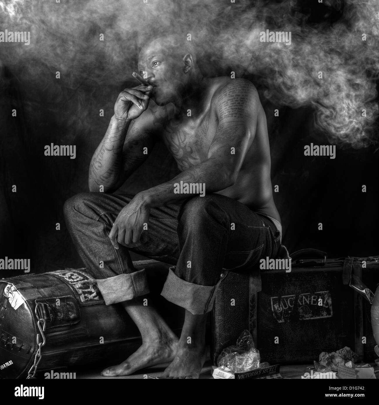 Boxer At Rest High Resolution Stock Photography and Images Alamy