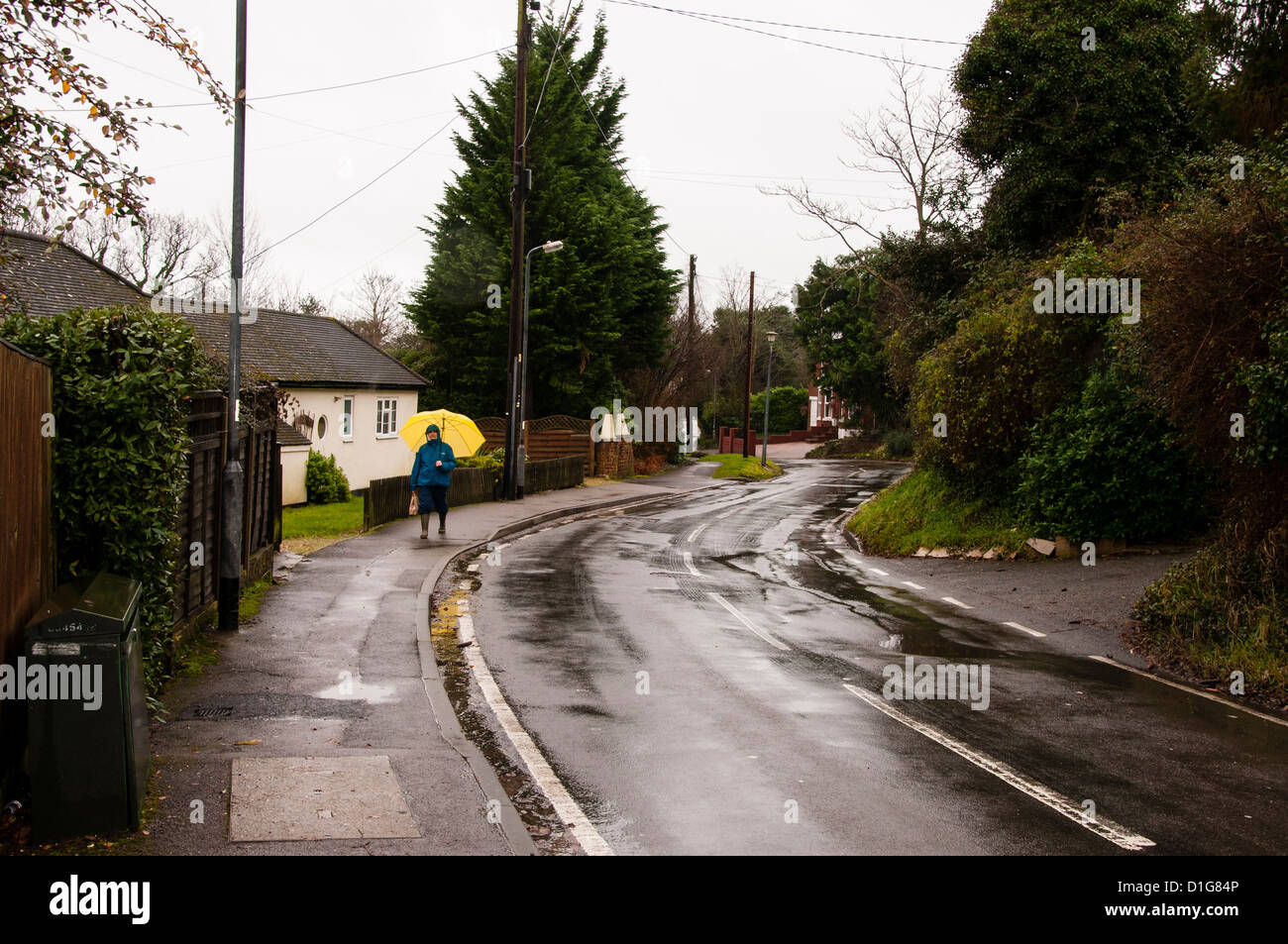 Woman with a Yellow Umbrella Walking in the Rain Stock Photo - Alamy