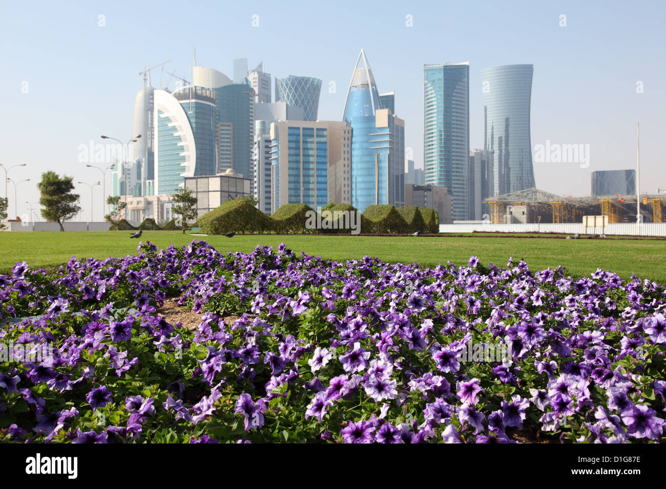 Flowers in Doha downtown, Qatar, Middle East Stock Photo Alamy