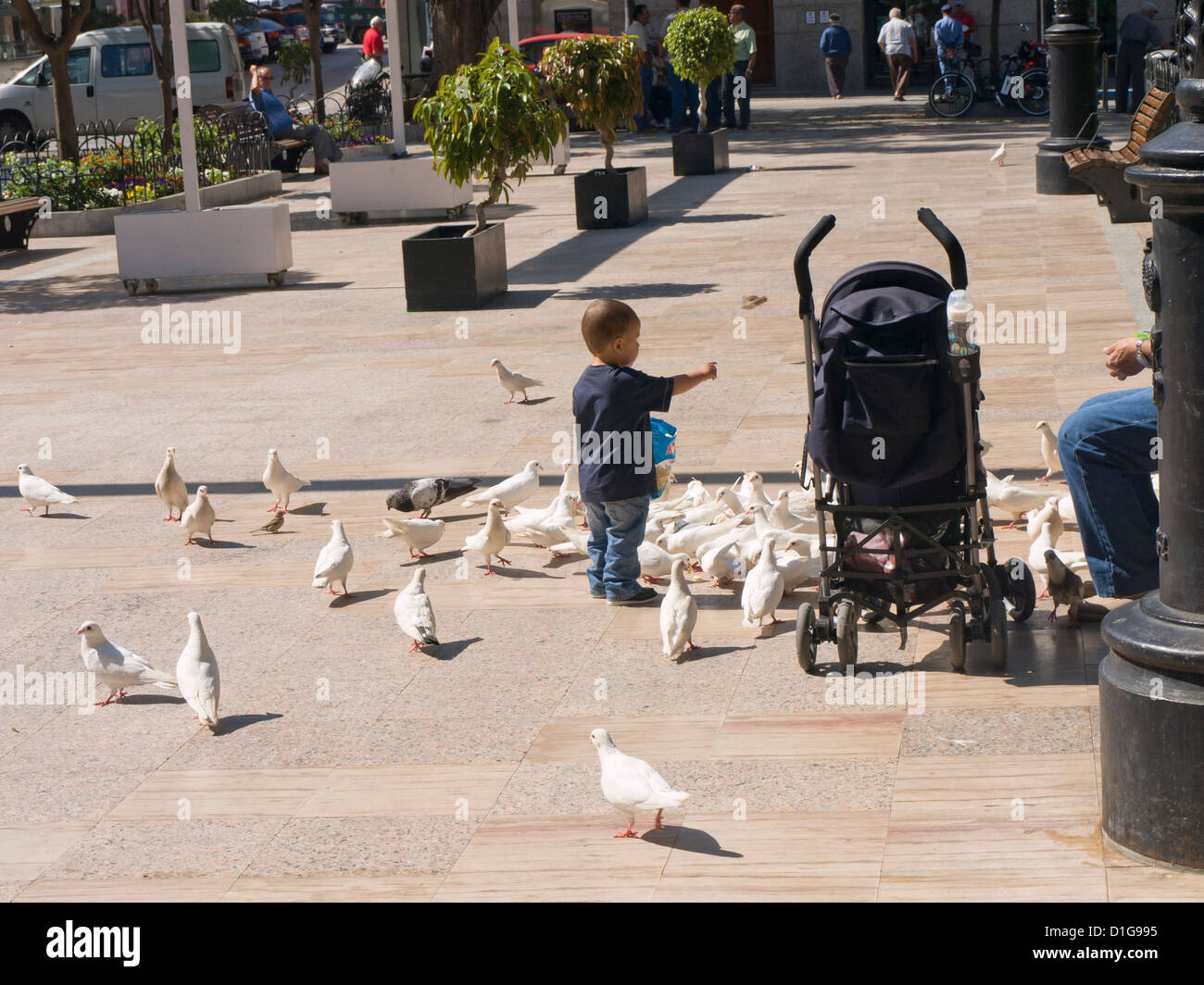 White peace pigeons in a park in Aguilas, Murcia Spain, being fed by toddler with a pram Stock Photo