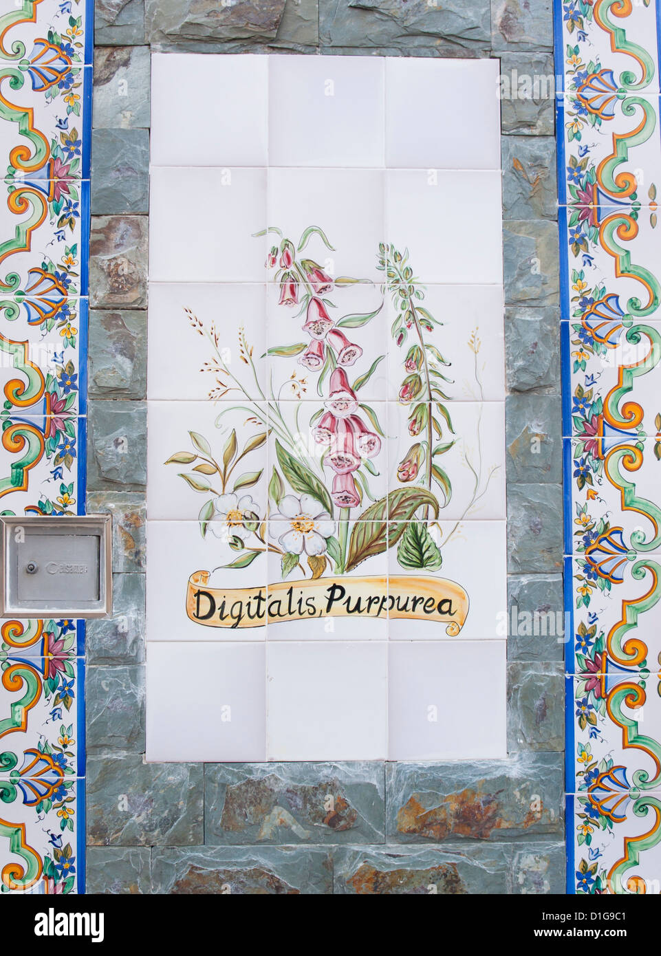 Detail of painted tile wall panel with the flower foxglove on a pharmacy in Aguilas, Murcia Spain Stock Photo