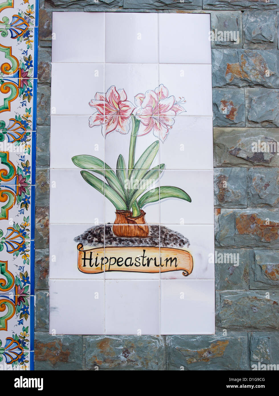 Detail of painted tile wall panel with the flower Hippeastrum on a pharmacy in Aguilas, Murcia Spain Stock Photo