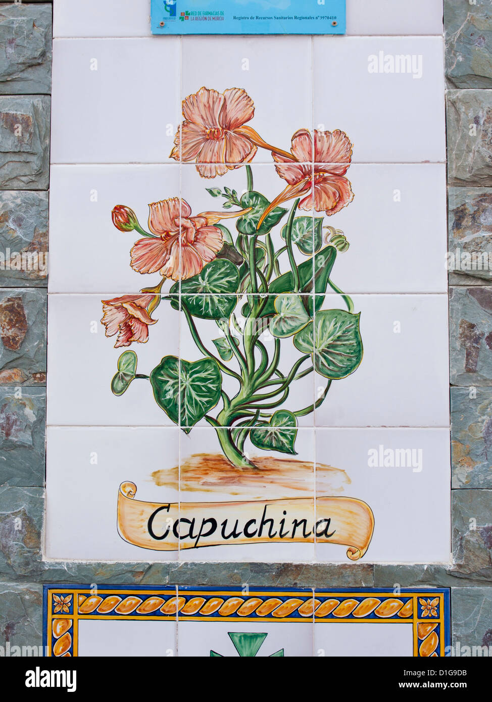 Detail of painted tile wall panel with the flower monks cress on a pharmacy in Aguilas, Murcia Spain Stock Photo