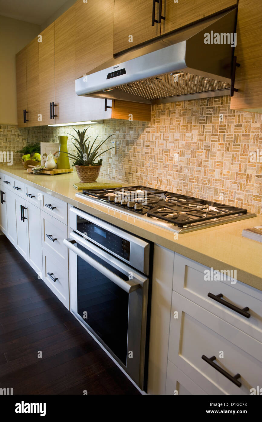 Stove top and oven in contemporary kitchen; San Diego; California; USA