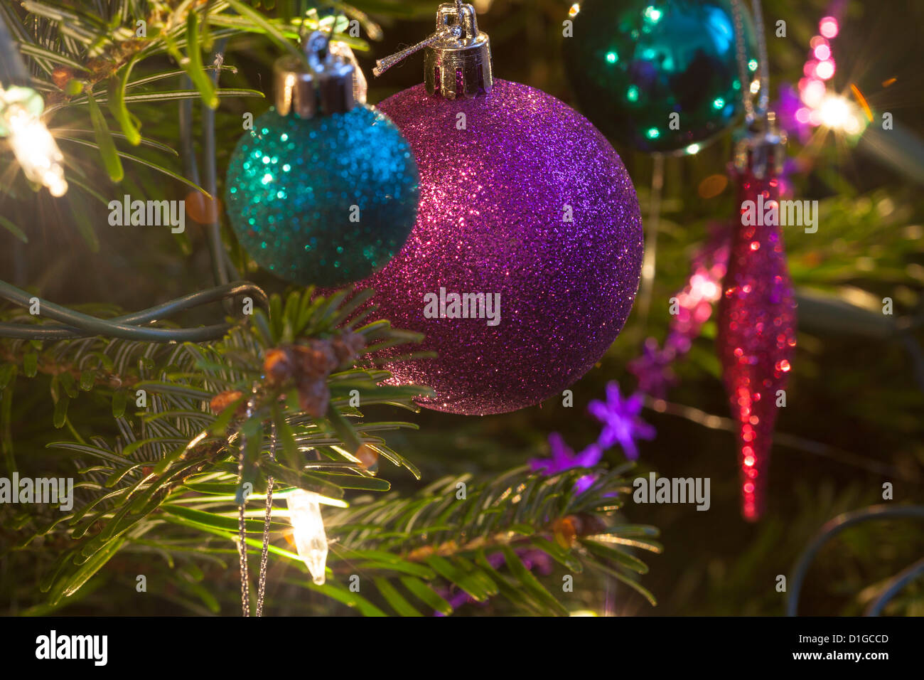 Christmas tree Hordman pine fir decorated with twinkling lights and baubles in green purple and pink, some blurred out of focus Stock Photo