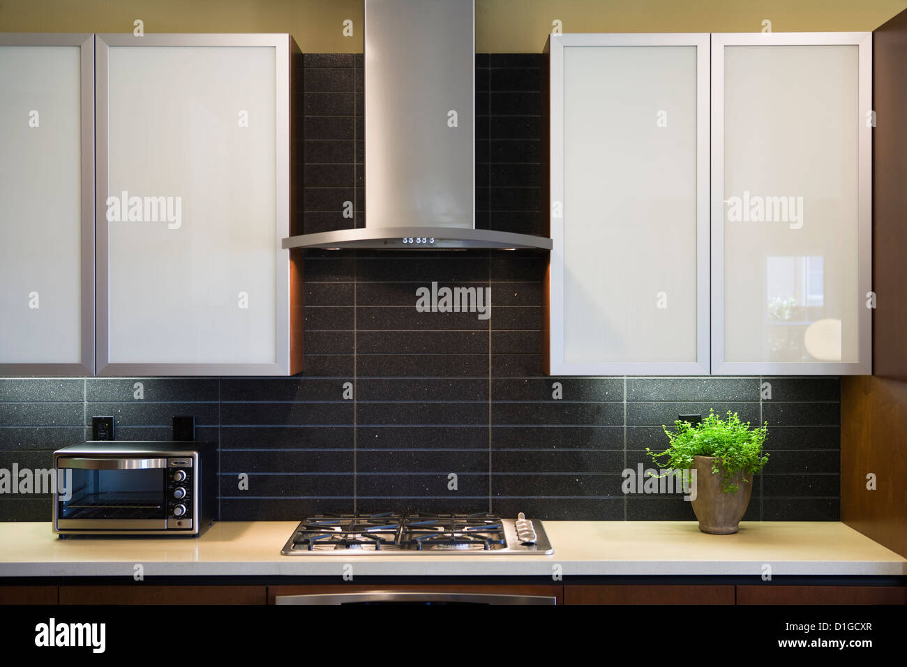 Range and hood in contemporary kitchen; San Diego; California; USA Stock Photo