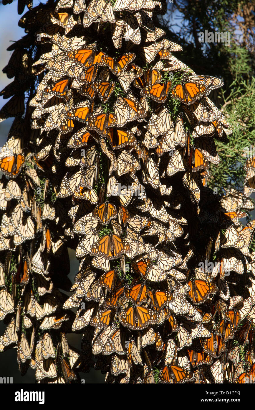 Clusters Stock Photos & Clusters Stock Images Alamy