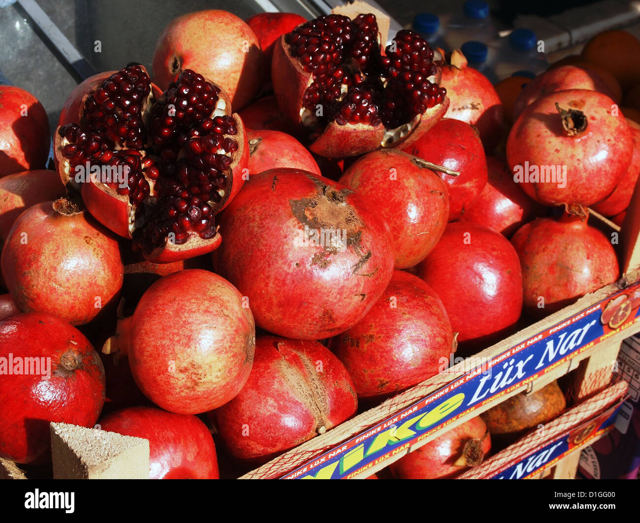 Pomegranate tree for sale near me