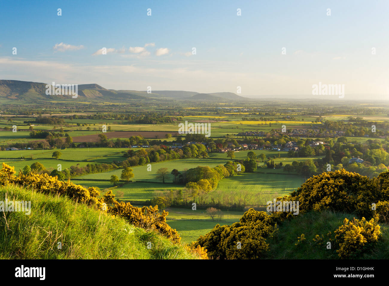 View of the Cleveland Hills from above Cliff Ridge Wood, Great Ayton