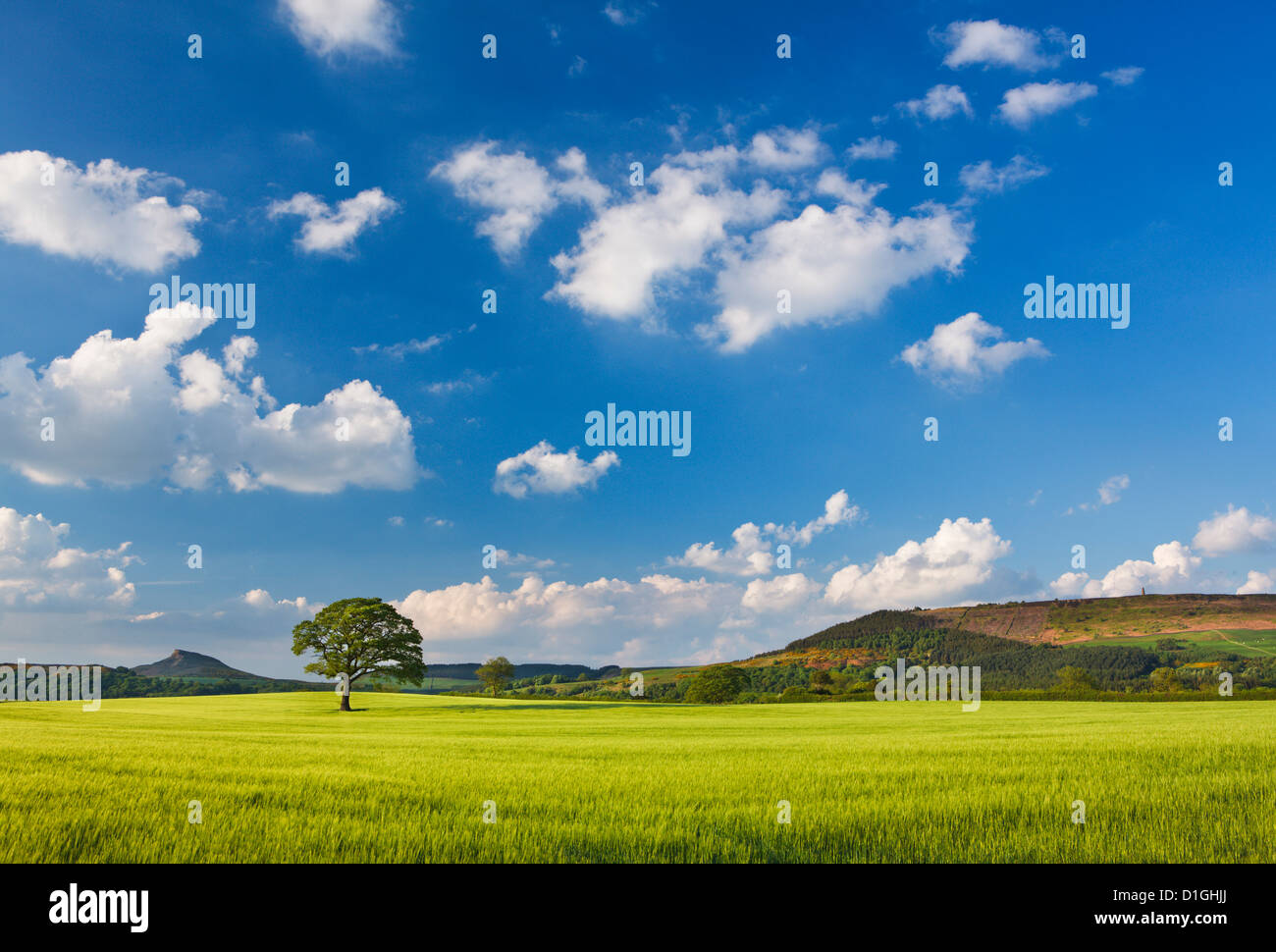 View towards Roseberry Topping and Captain Cook's Monument, Easby, North Yorkshire, Yorkshire, England, United Kingdom, Europe Stock Photo