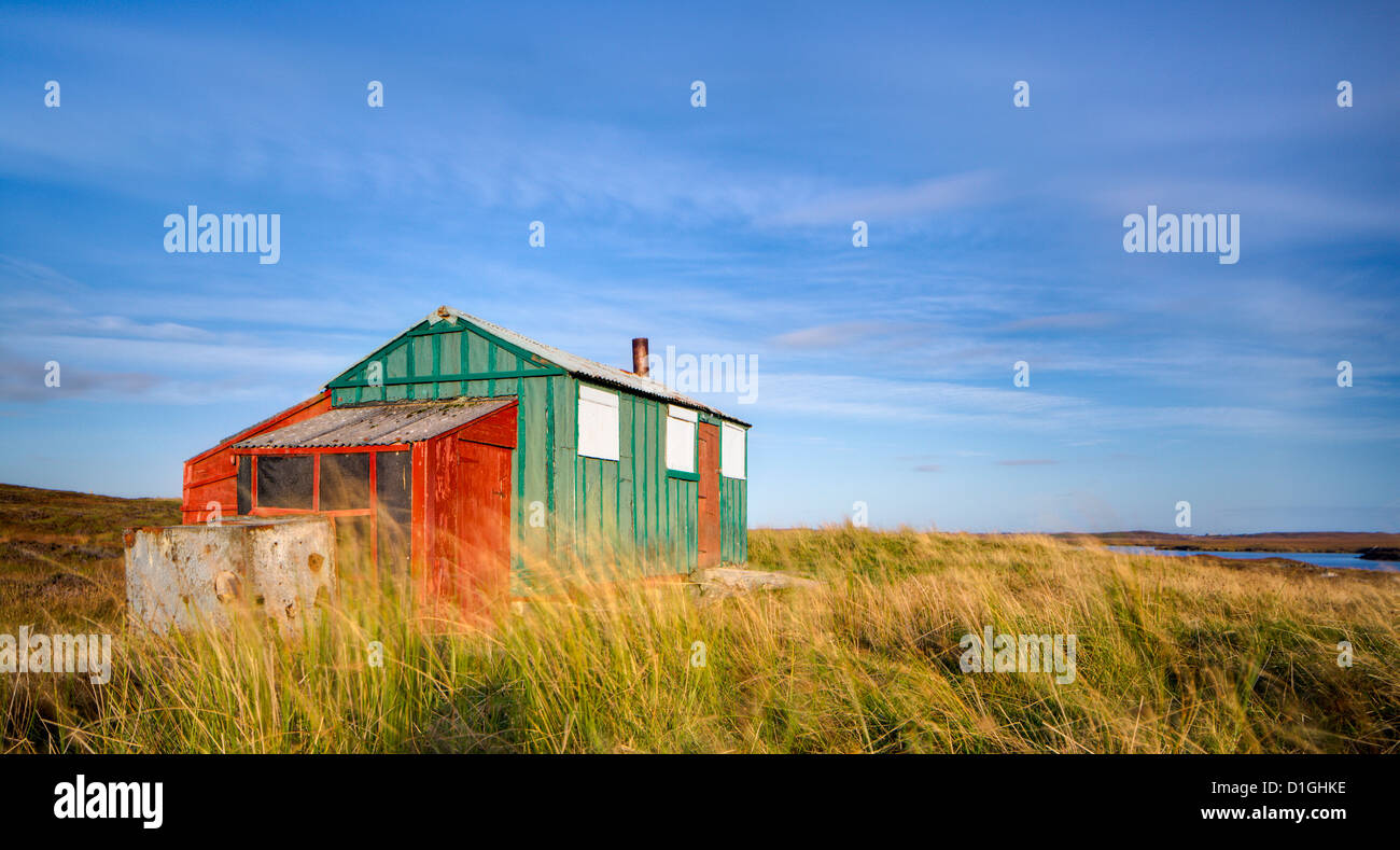 Colourful summer hut (sheiling) on the wind swept moors of the Isle of Lewis, Outer Hebrides, Scotland, United Kingdom, Europe Stock Photo