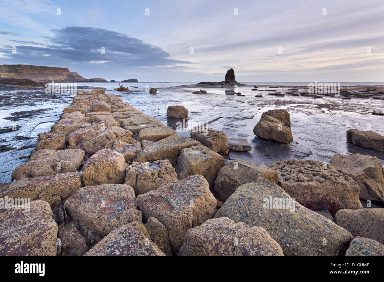 Barnacle encrusted rocks with Black Nab, Saltwick Nab, Saltwick Bay, North Yorkshire, Yorkshire, England Stock Photo