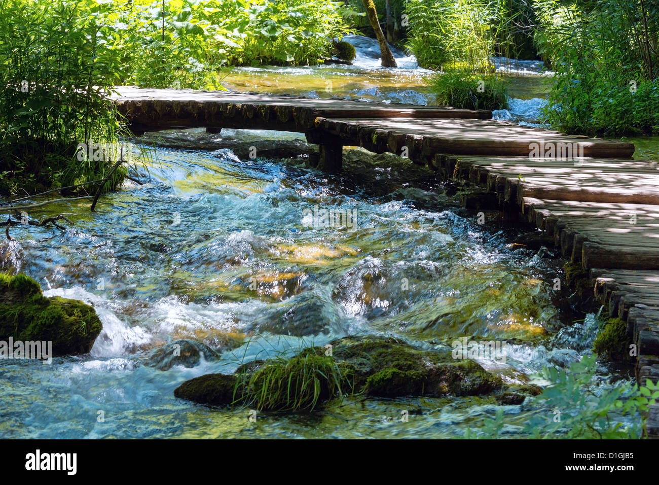 Summer mountain rushing river view with planked footway across the ...