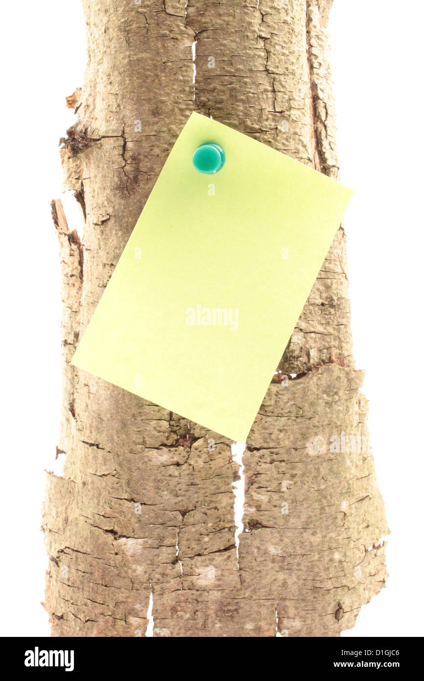 Thumbtack keeps Post-it on a chestnut bark. Stock Photo
