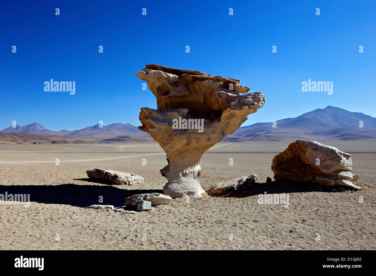 Arbol de Piedra (stone tree), wind eroded rock near Laguna Colorada, Southwest Highlands, Bolivia, South America Stock Photo