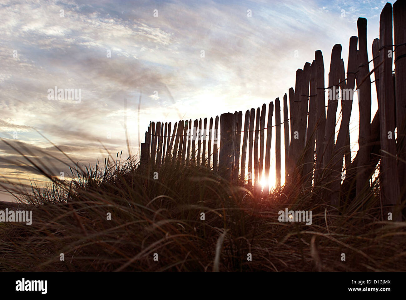 Sunset through a beach fence in the dunes. Stock Photo