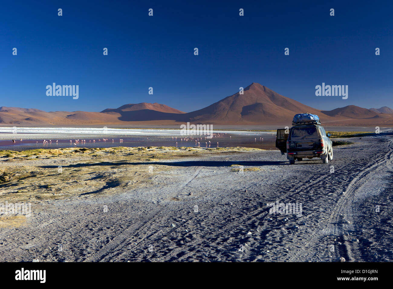 Laguna Colorada, a salt lake in the southwest of the altiplano, within Eduardo Avaroa Andean Fauna National Reserve, Bolivia Stock Photo