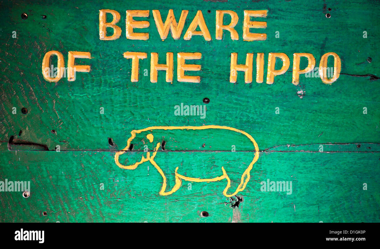 closeup of african signal beware hippo Stock Photo