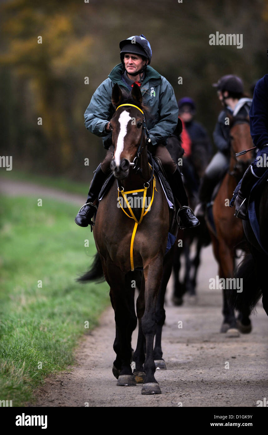 Paul nicholls ditcheat hires stock photography and images Alamy