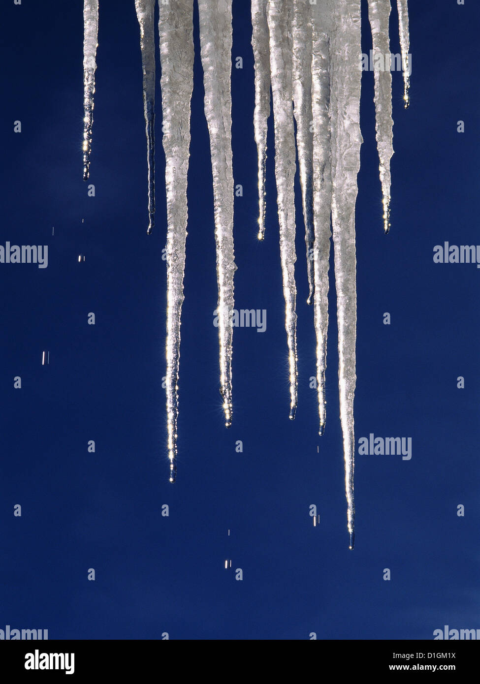 icicles isolated on blue background Stock Photo