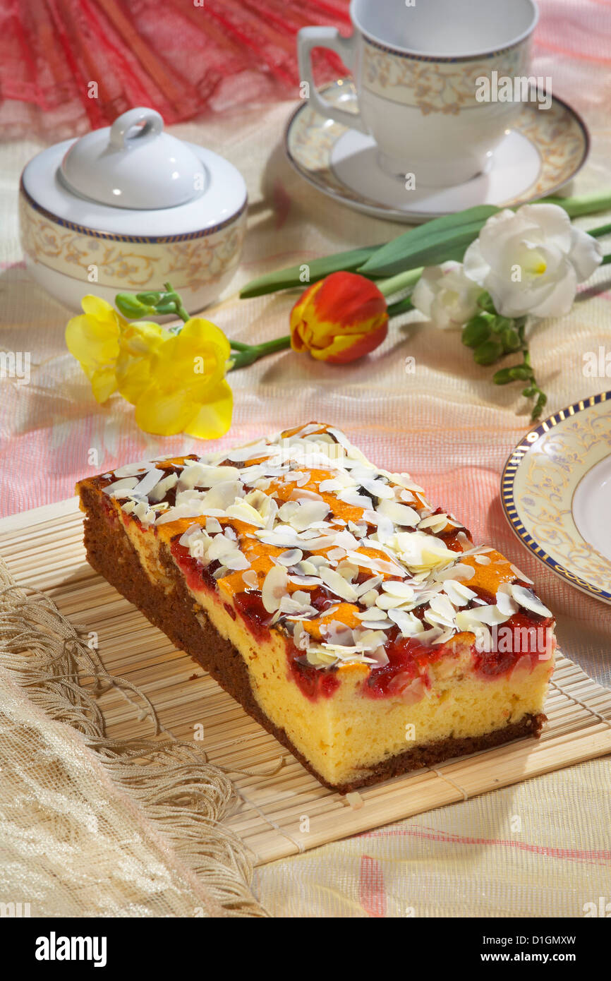Cocoa Plum Cake Stock Photo