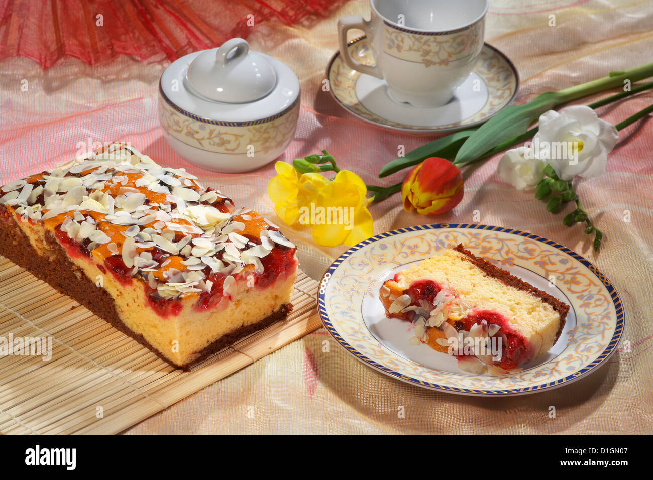 Cocoa Plum Cake Stock Photo