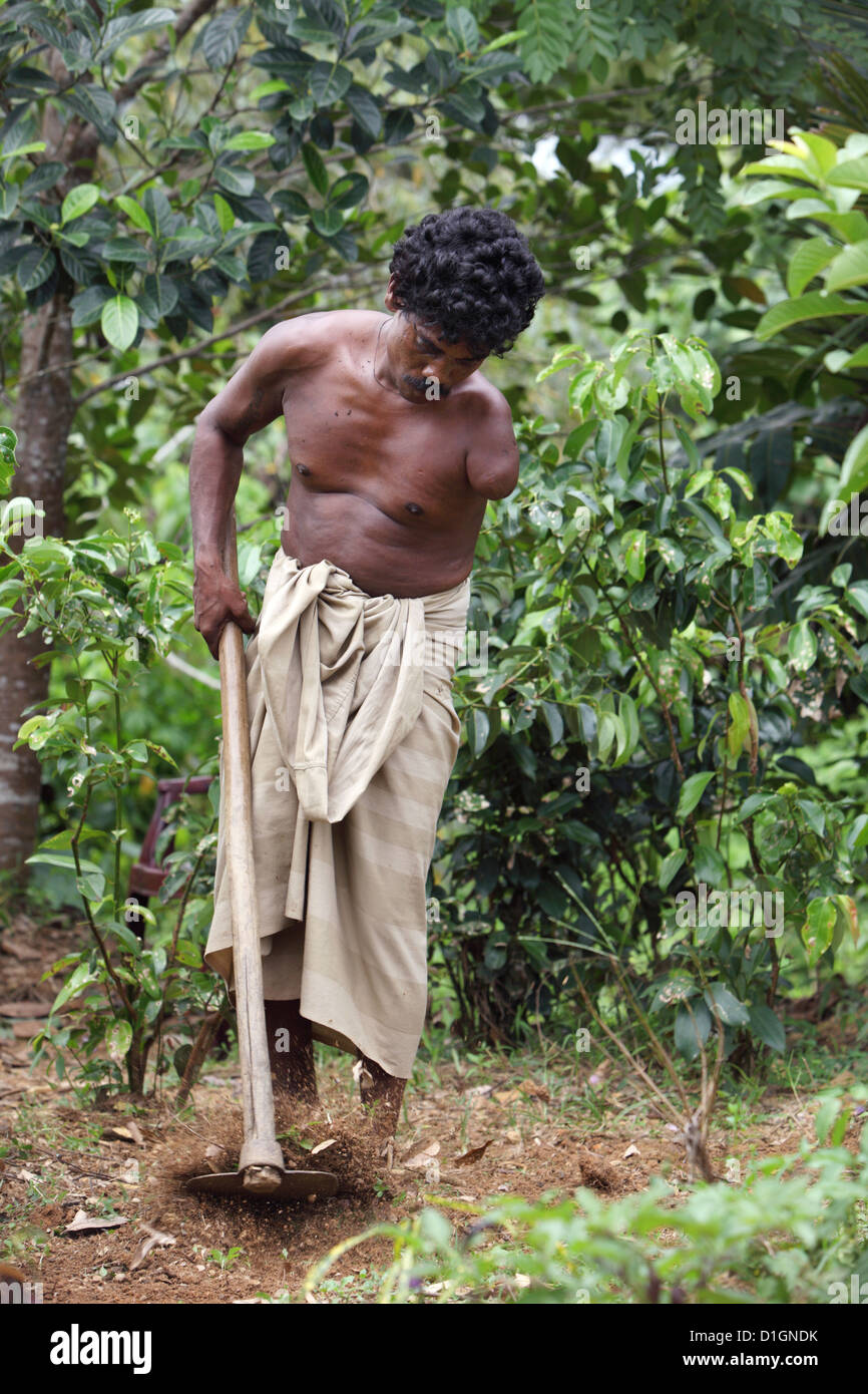 Galle, Sri Lanka, a disabled man carries gardening Stock Photo