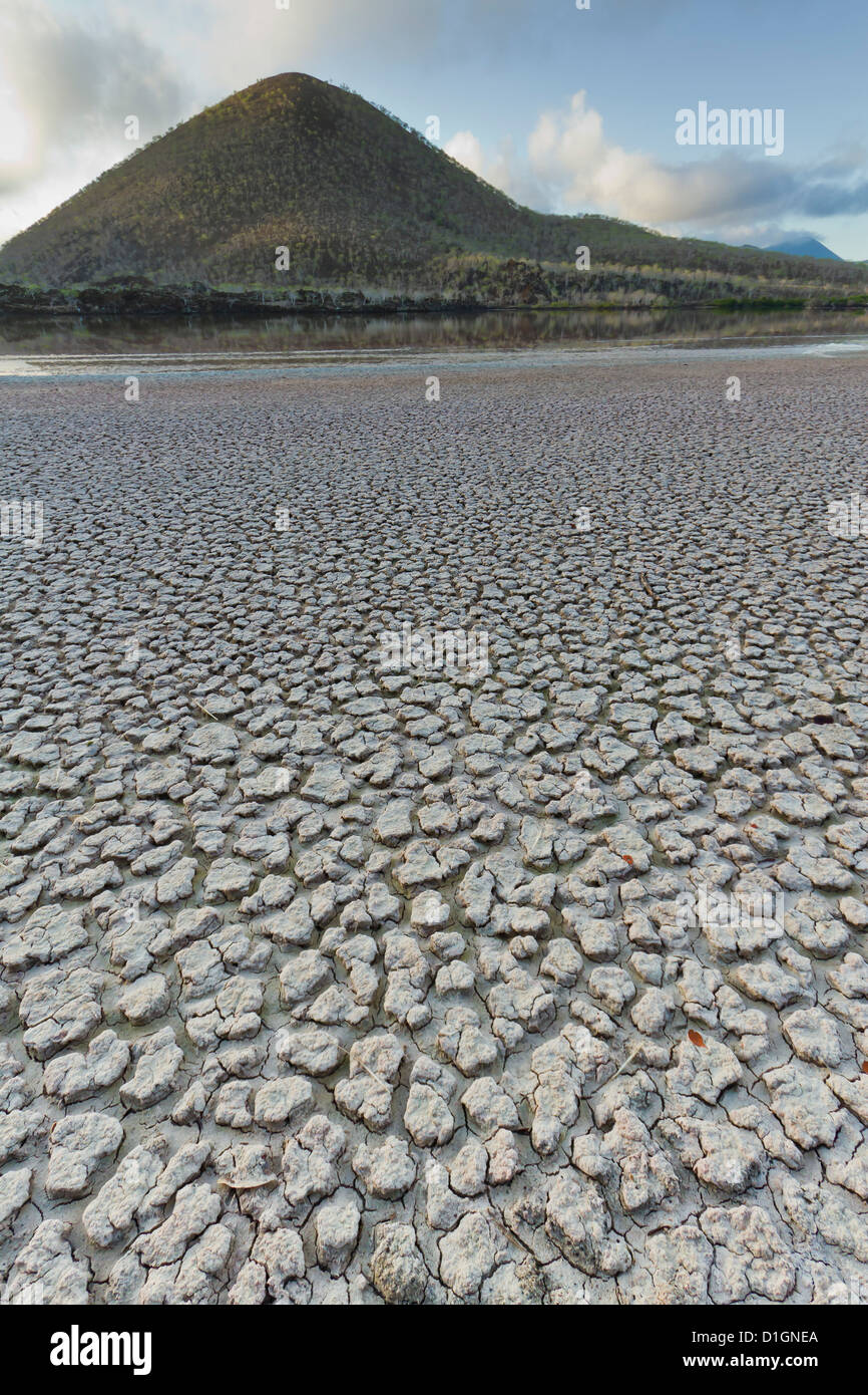 Dried mud flats, Cormorant Point, Floreana Island, Galapagos Islands, UNESCO World Heritage Site, Ecuador, South America Stock Photo